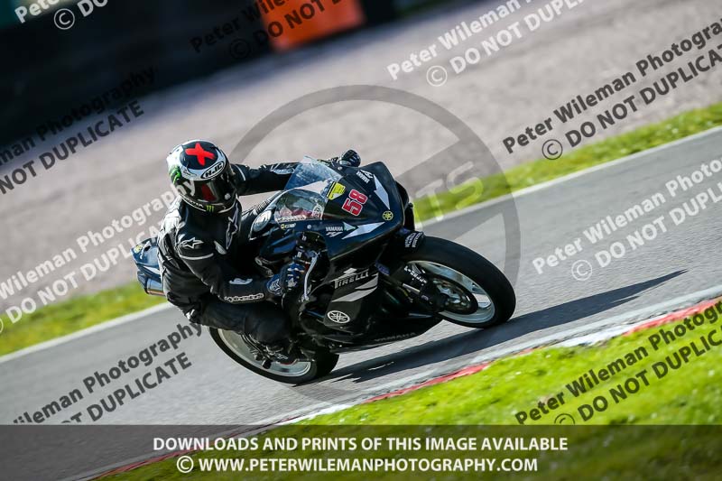 Oulton Park 20th March 2020;PJ Motorsport Photography 2020;anglesey;brands hatch;cadwell park;croft;donington park;enduro digital images;event digital images;eventdigitalimages;mallory;no limits;oulton park;peter wileman photography;racing digital images;silverstone;snetterton;trackday digital images;trackday photos;vmcc banbury run;welsh 2 day enduro